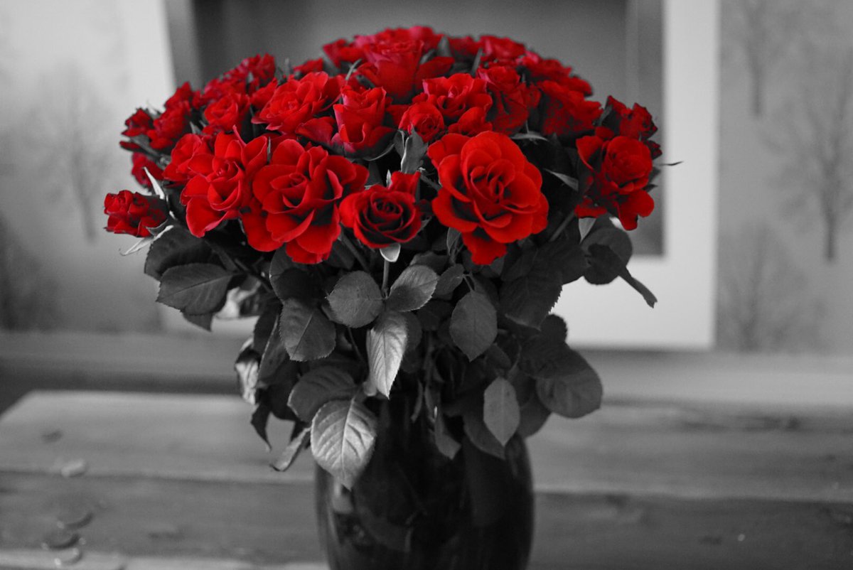 BytesizePlug's tweet image. Wow! Kelly&apos;s been capturing some fantastic pictures. Check Workplace and bit.do/kellya6000 for her latest vlog