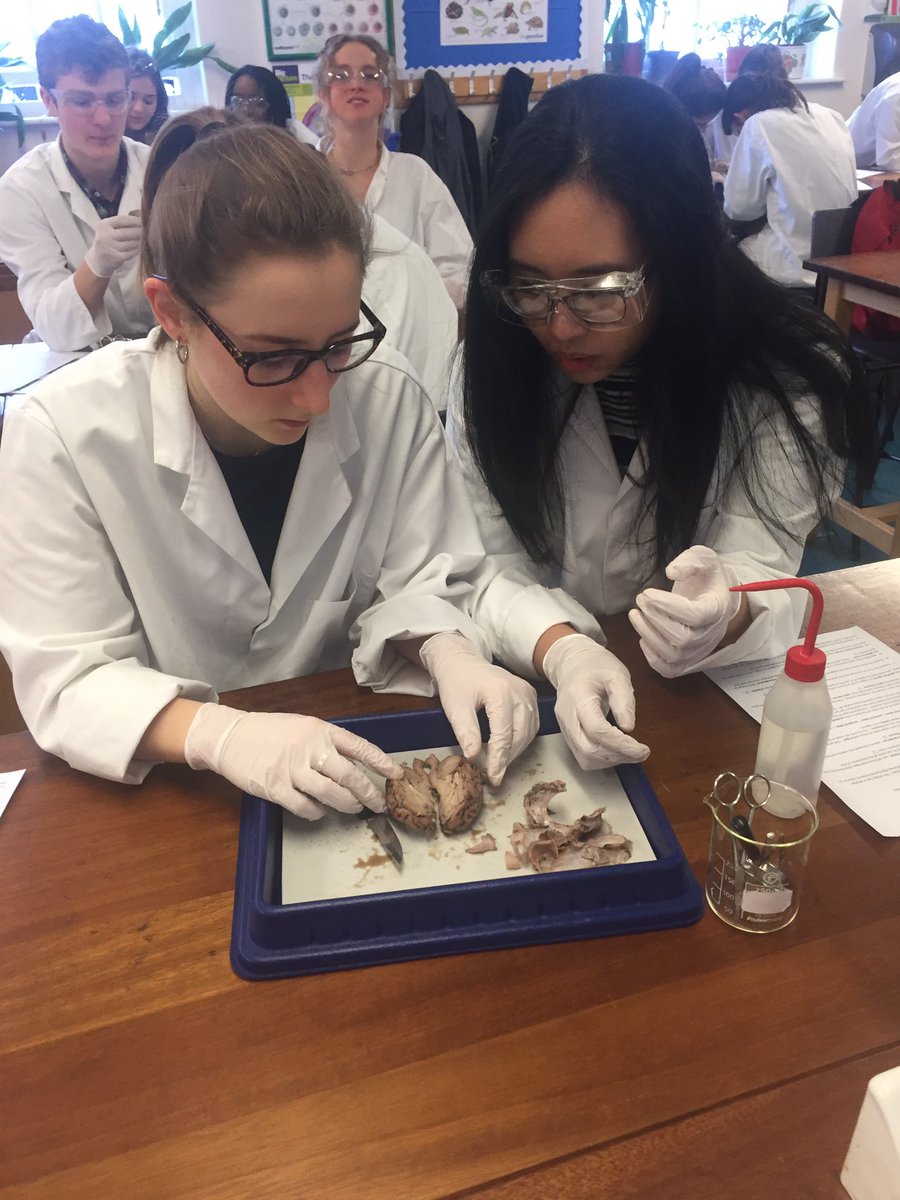 UCS Biology tweet media