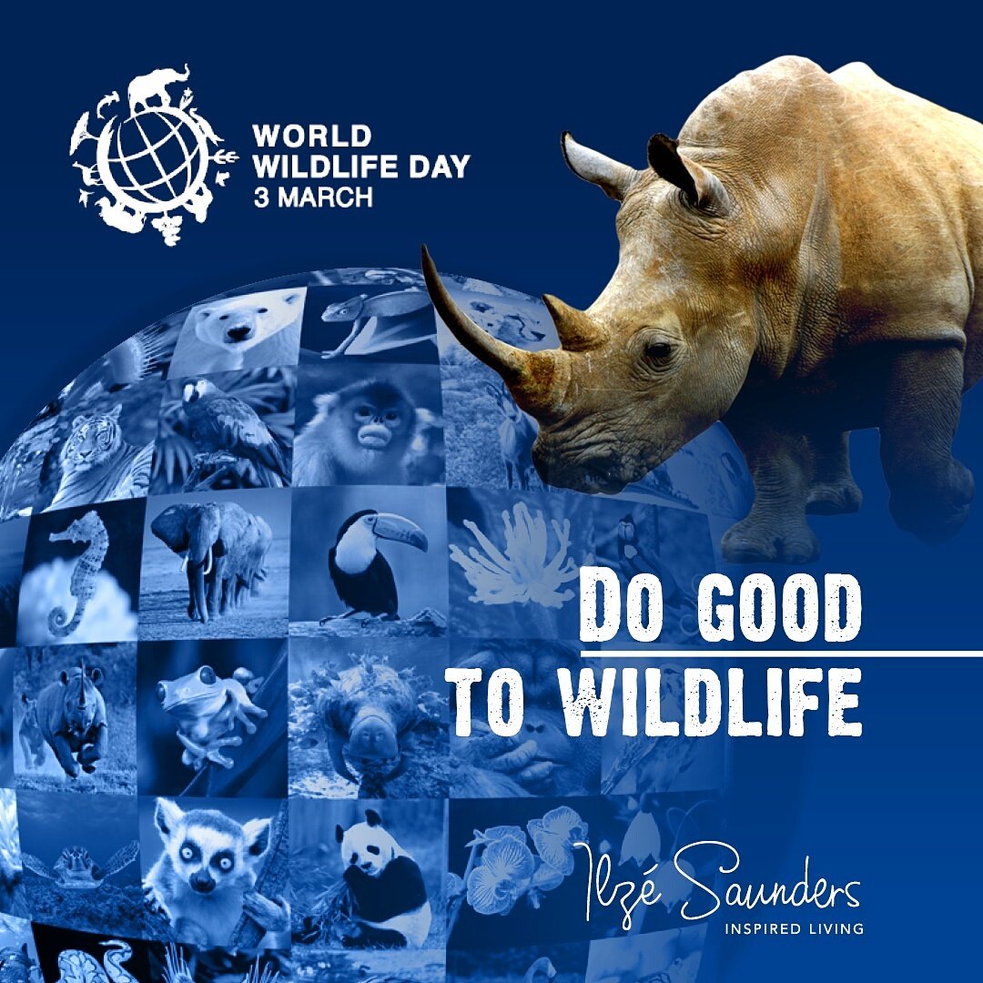 Do Good to Wildlife Life ~ #WorldWildlifeDay!! 

#InspiredLiving