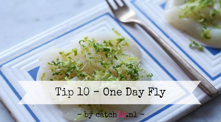 Het is 'De Dag van de Eendagsvlieg', en dus hebben wij een lekker lijstje, met pop-up's in #Amsterdam natuurlijk! catch52.nl/tip-10-pop-up-…