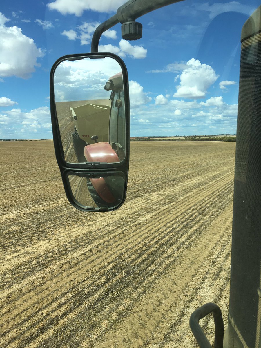 agrosmyth's tweet photo. Landmark MOP being spread @28m on deep ripped and limed lupin stubble. #paddockprep #getgrowing #qualityfert @LMKWonganHills @LMKWAagronomy https://t.co/OIUJZAw03T