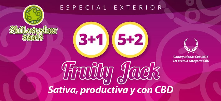 PhiloSeeds's tweet photo. Damos la bienvenida al mes de Marzo con una oferta 3+1 y 5+2 en @alchimiaGrow de nuestra variedad Fruity Jack - https://t.co/LQnZ12vbA8 https://t.co/0E5O4DqRHr