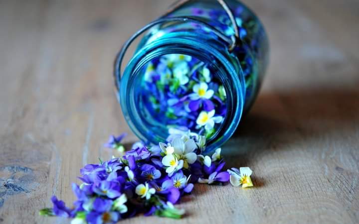 StarDust_RoLL's tweet photo. A magic SpRing ❤ #love #springday #music https://t.co/j77A4MOziV