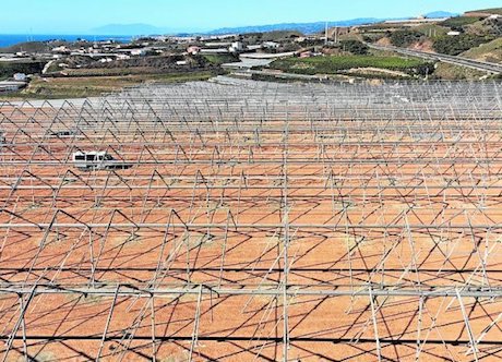RevistaMercados's tweet photo. Construyen el #invernadero más #grande y #moderno de #Málaga #Frunet
https://t.co/kwktGo0fgx https://t.co/mdxy4kWXL4