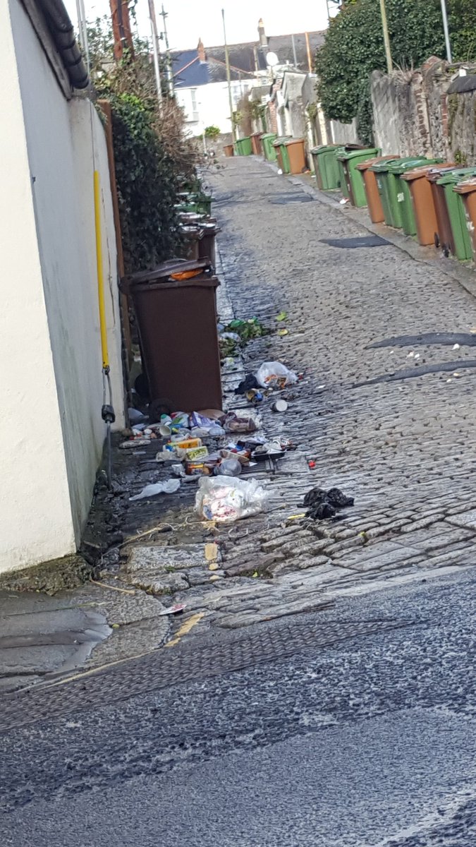 PlymouthChaz's tweet photo. #blukips answer to fortnightly collection @plymouthcc @RGoodmanLyle @EGotham @Kim_buzz @Tazza_NR @PlymouthHerald #rubbish @Laura_121hen #RT https://t.co/Ruy1a8EwMZ