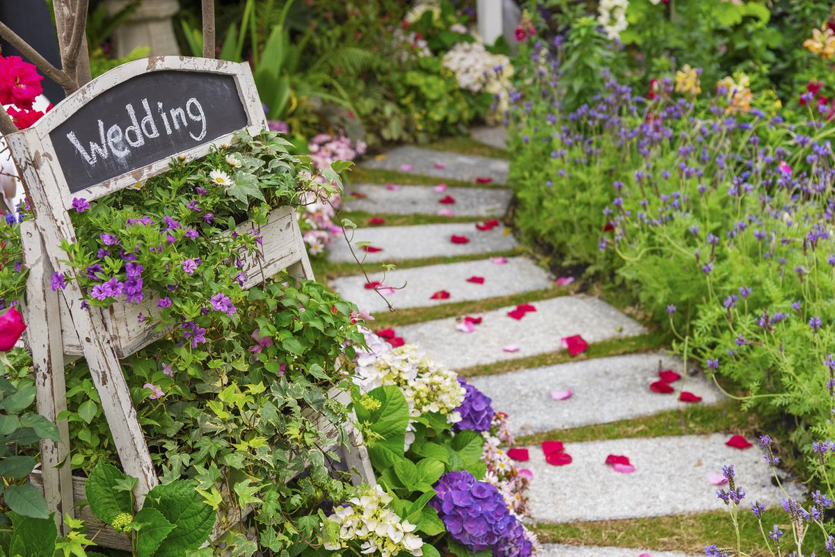 writerchick71's tweet photo. How to pick the perfect wedding venue. Read these top tips https://t.co/3ufsSug3RG #thehotelcollection #WeddingPlanning #weddinghour https://t.co/5uWHfMEEu1