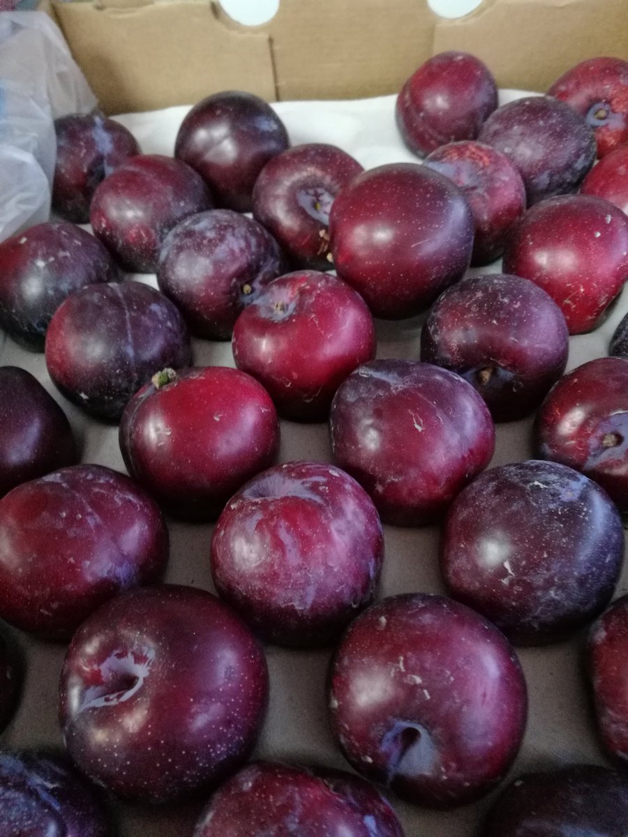 5adayFresh's tweet photo. #plums #royalgala #pinklady #apples #fruityday #anappleadaykeepthedoctoraway https://t.co/ARBV4NBZH4