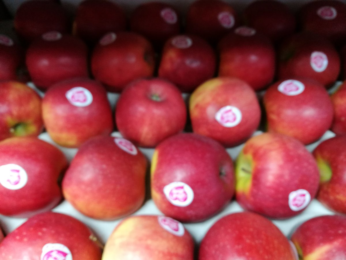 5adayFresh's tweet photo. #plums #royalgala #pinklady #apples #fruityday #anappleadaykeepthedoctoraway https://t.co/ARBV4NBZH4