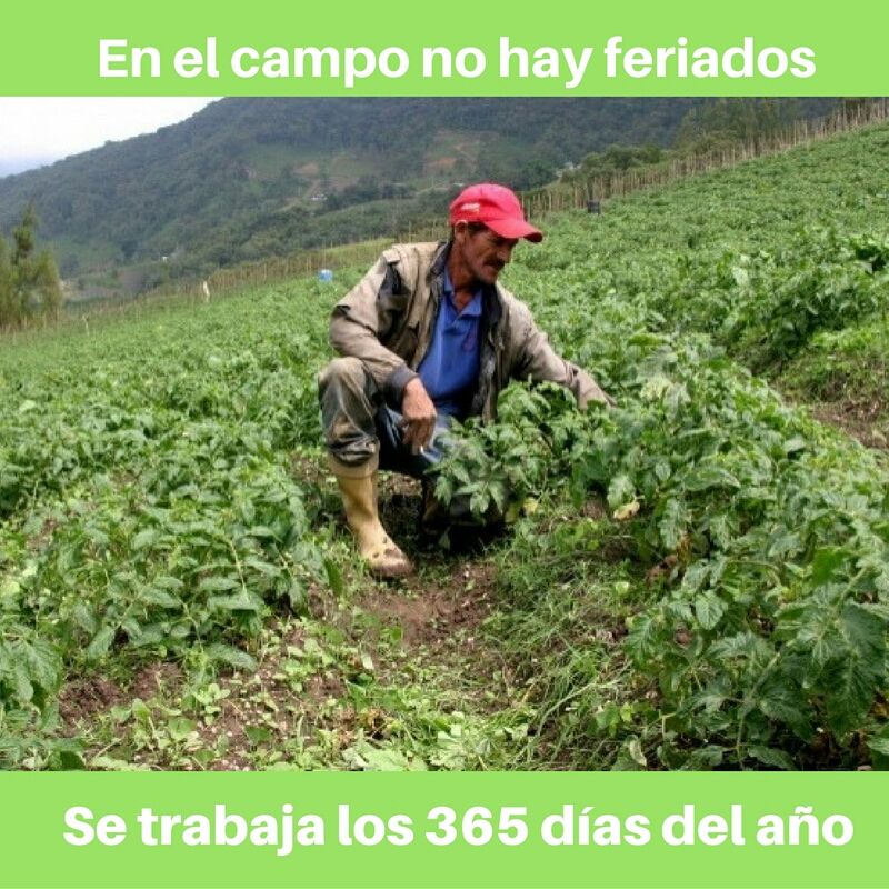 vidaagro's tweet image. Admirable la batalla que dan los productores.Siguen firmes a pesar de un sistema económico que quiere demolerlos. #FelizMiércoles #1Mar