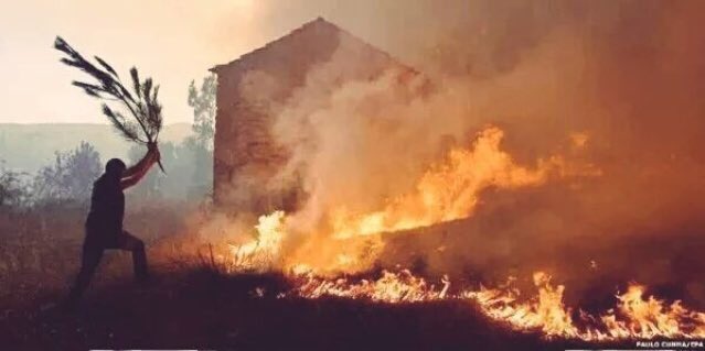 #FreeBonginkosiKhanyile
The NPA at the #ConCourt right now⤵️