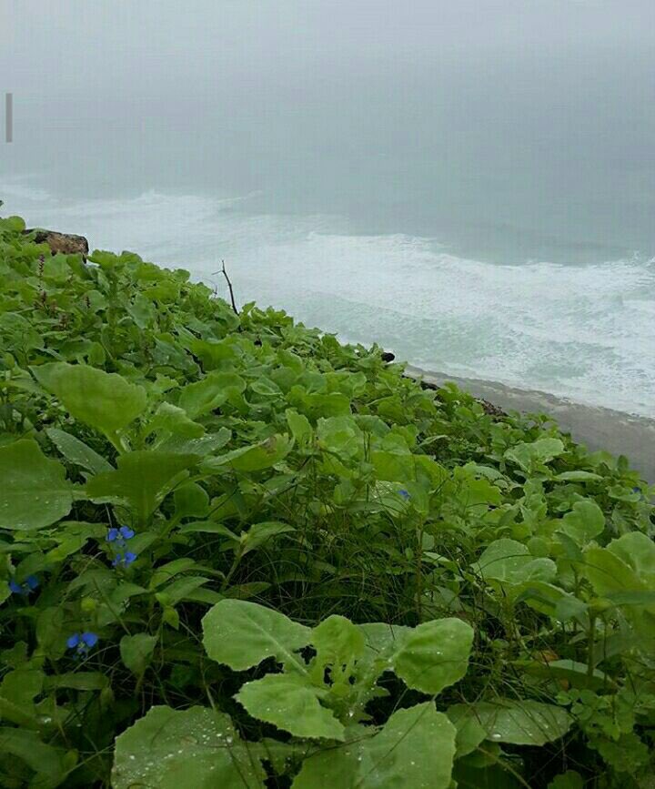 _5amii's tweet photo. صلاله  #ديره_تفتح_النفس https://t.co/puT6a3H4dt