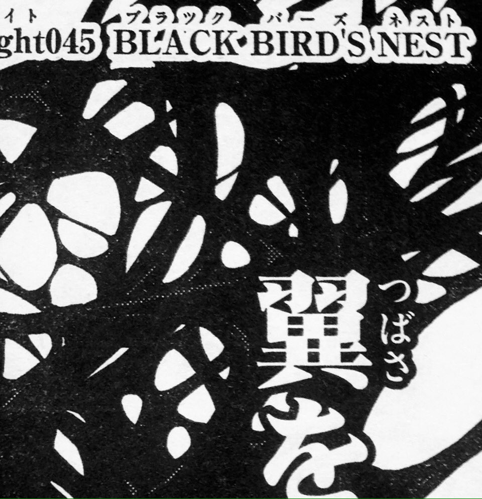 本日発売のサンデー14号にBIRDMEN載ってます。
新キャラ出るよ。 
