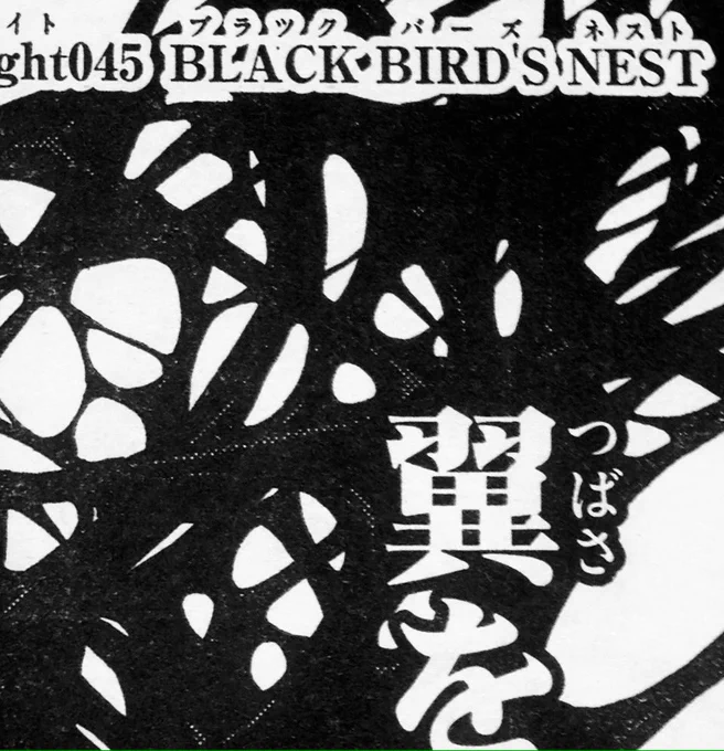 本日発売のサンデー14号にBIRDMEN載ってます。
新キャラ出るよ。 