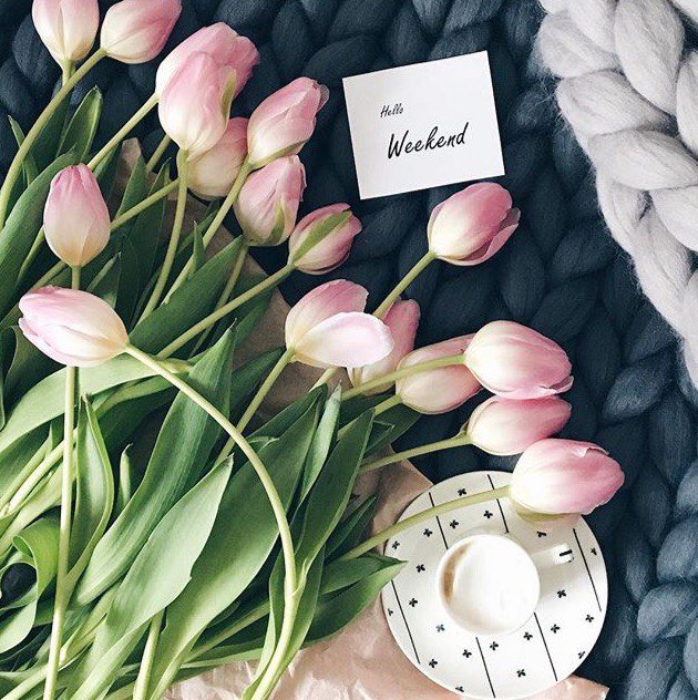 bumajka🥀 tweet media