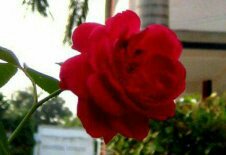 Wishing you a very happy birthday Nitish Kumar ji . 