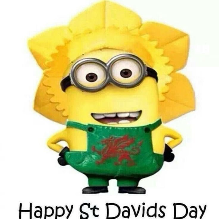 #DyddDewiSant 
Here is a Welsh minion to brighten your day!
#StDavidsDay