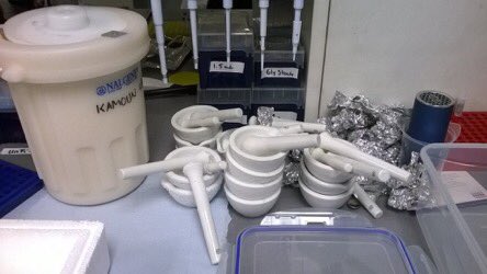 KamounLab's tweet image. #Openwheatblast #FieldPathogenomics 2017 Season @tofazzalislam @EmChanclud