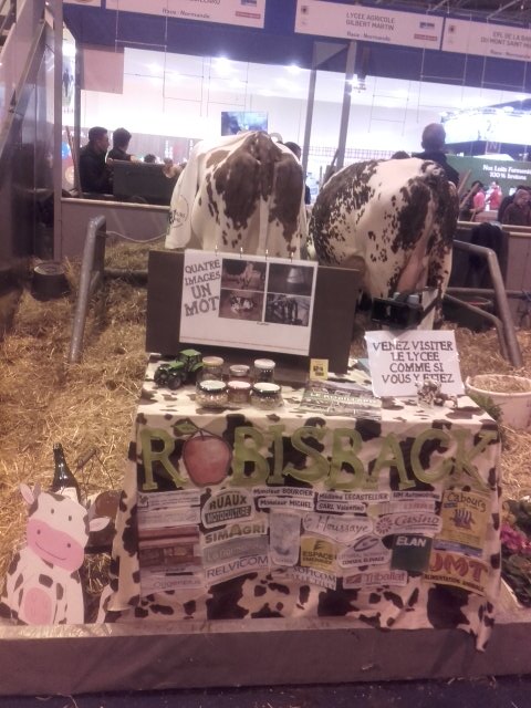 Robisback2017's tweet image. Notre stand est prêt!! Merci à tous nos sponsors pour leur aide et leur soutien ! #SIA2017 #tnla2017