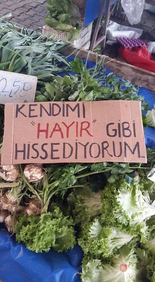 DirenPika's tweet photo. İzmir Seferihisar Pazar'ından #Hayır aforizmaları-1: Kendimi "Hayır" gibi hissediyorum https://t.co/BX1ZKK6PHk