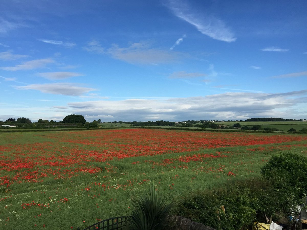 FileyBayToday's tweet image. 4th Anniversary edition of Filey Bay Today available in shops TODAY. photo taken by Elaine Reason.