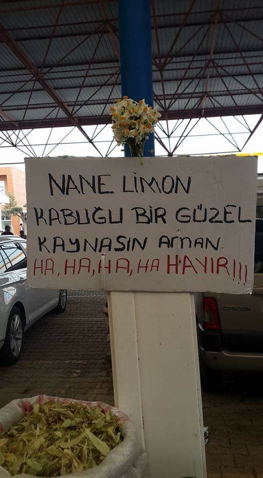 DirenPika's tweet photo. İzmir Seferihisar Pazar'ından #Hayır aforizmaları-2: Nane, limon kabuğu bir güzel kaynasın aman ha ha ha ha hayır! https://t.co/EUTf4hsRXf