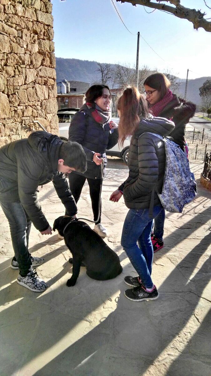 Aquest matí els <a href="/FLLAdsRobot/">Artesa₂O</a> visiten els companys d'<a href="/assegueiro/">Associació Egueiro</a> a Torreblanca. #creixemjunts #moltmesquerobots #EQUIP #cadadiamesimillor