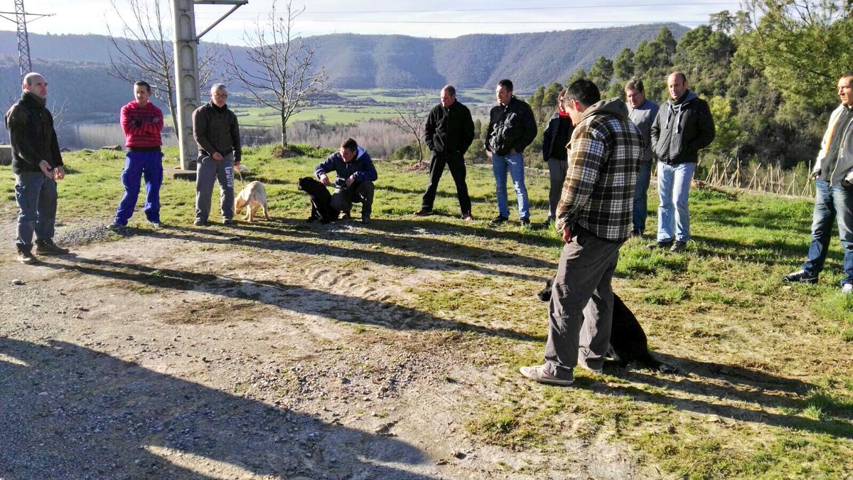 INS Els Planells tweet media