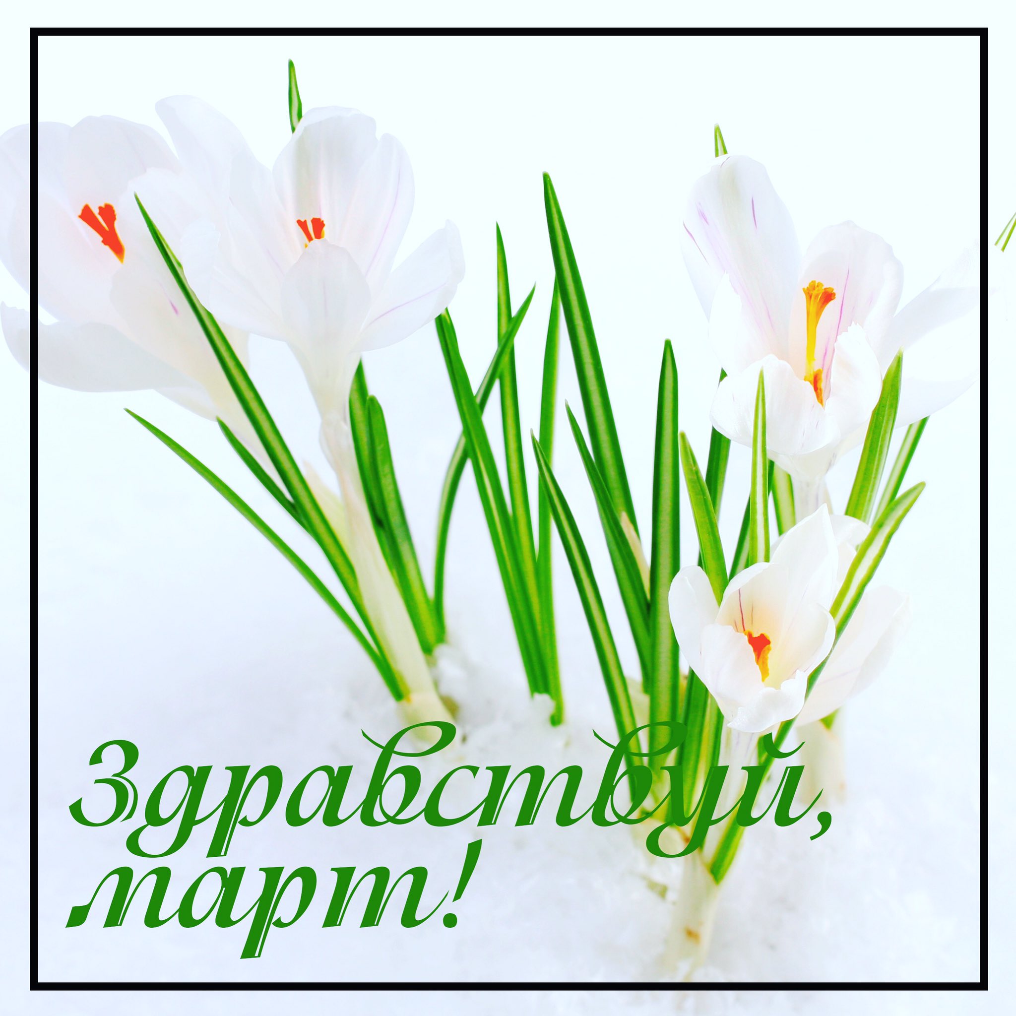 С праздником весны 1 марта