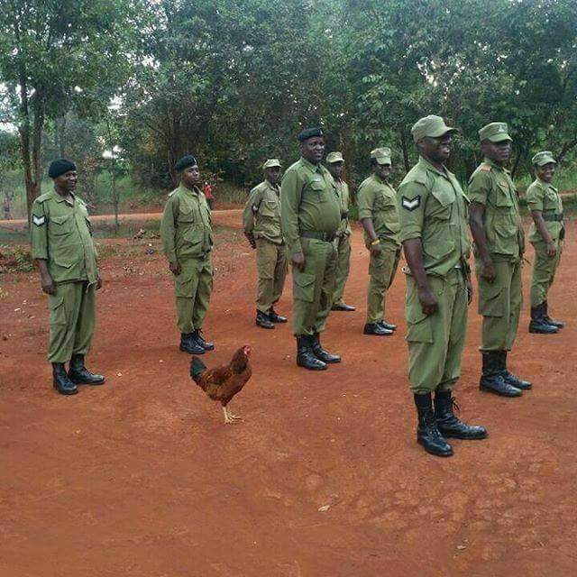 TMakhulu's tweet photo. Fa ole MOLOI obo o lebala go ichencha pele hao theogela https://t.co/8drWJIA4VY