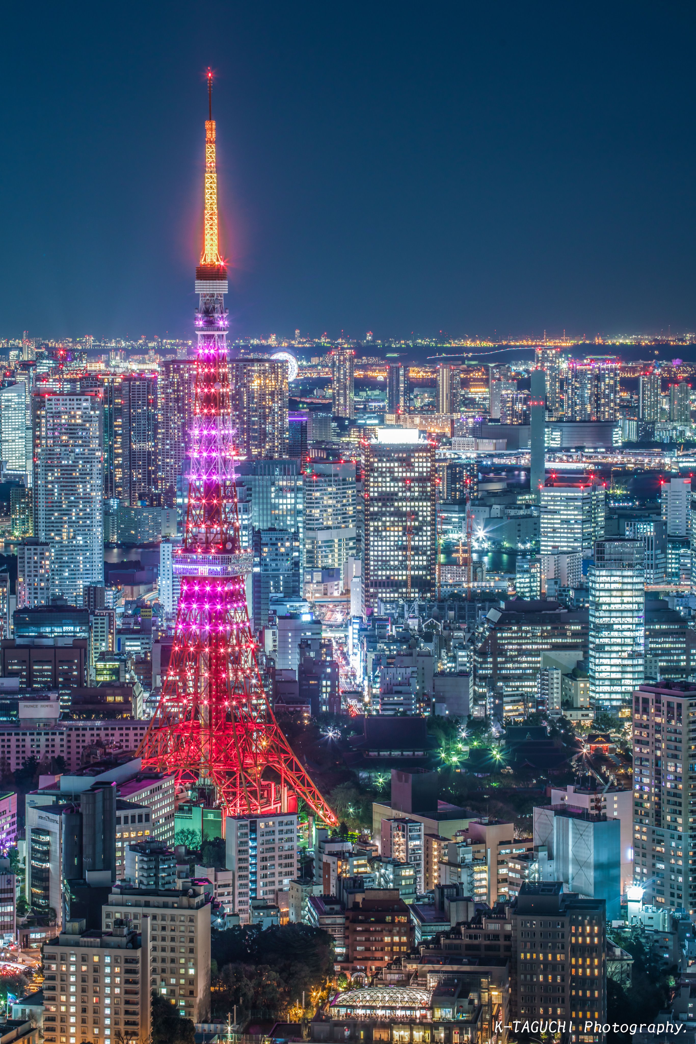 マッスル日和 東京タワーバレンタイン限定ライトアップの縦構図バージョンです すべてa７ｒ で撮影 東京タワー バイク写真部 バイクのある風景 T Co 9mvlziqwfl Twitter