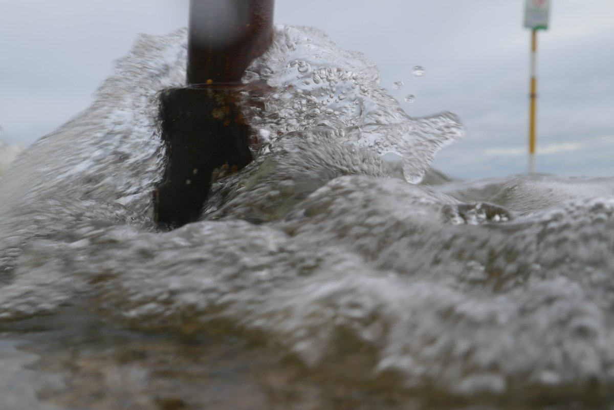AtSwimBook's tweet photo. Last days of February swims! #seapoint
The book 'At Swim' is still available in all good bookshops and online here: https://t.co/p8xvASICRs https://t.co/f6FMX4icAY