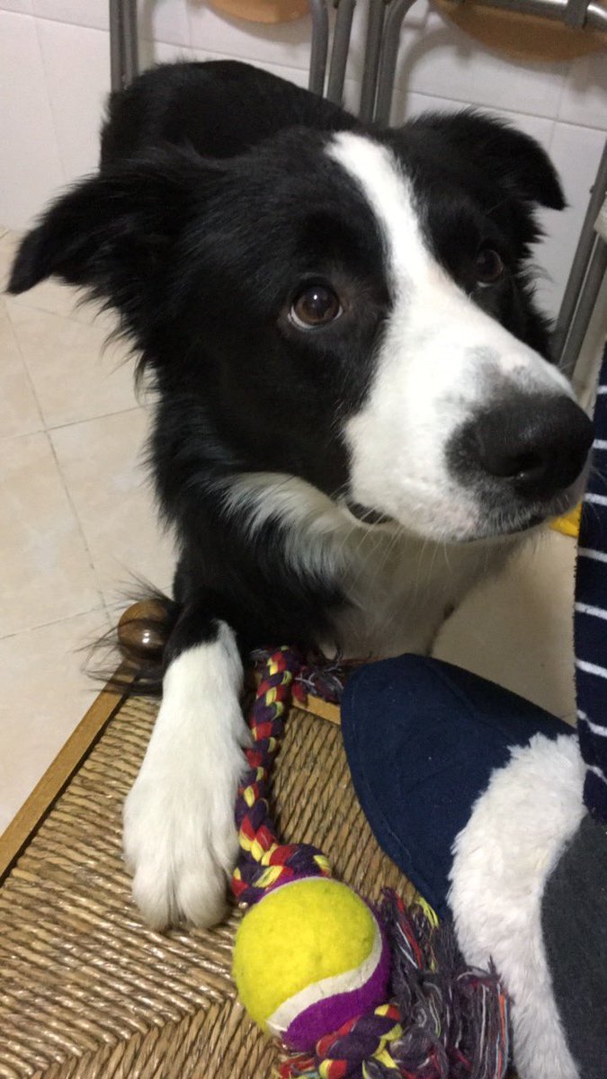 Jeeenn11's tweet photo. Good morning everyone! @BCTGB https://t.co/VmRTRghLRW