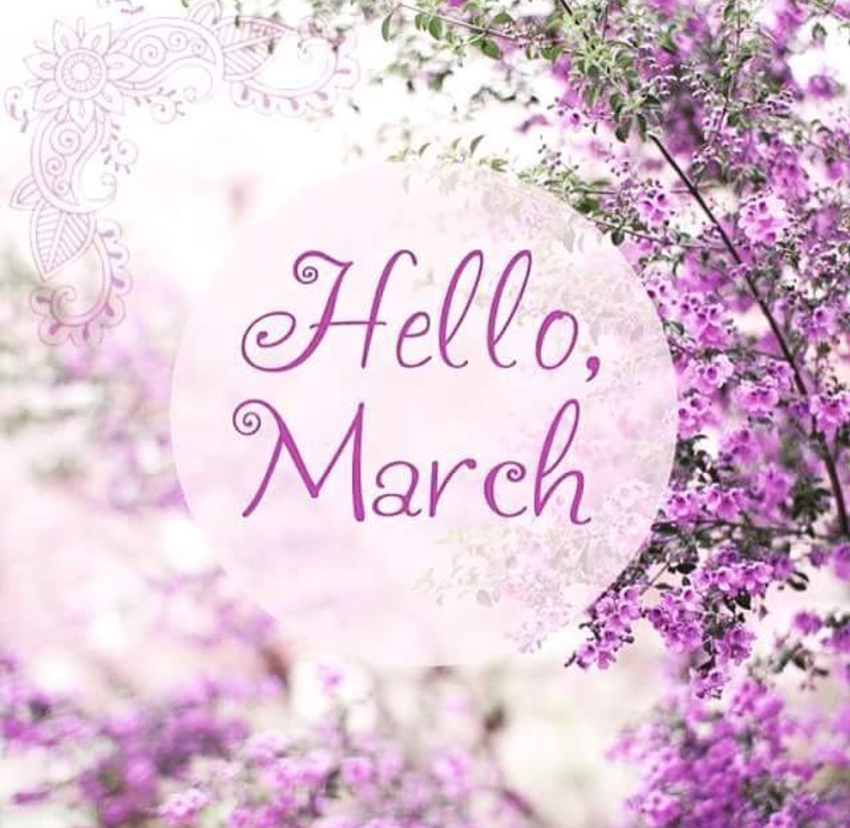 MissAmyChilds's tweet photo. #march 🙌🏻 https://t.co/lxq1j8UGmT