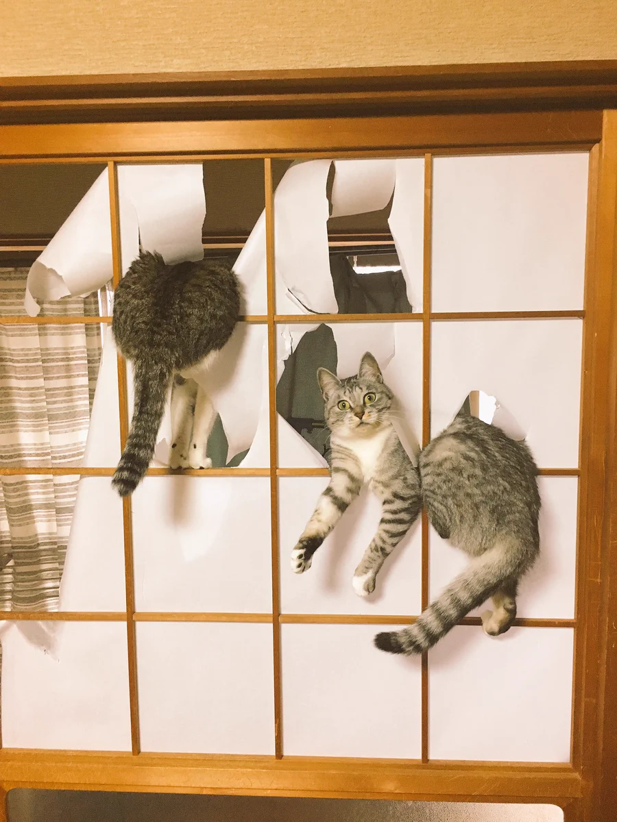 気分爽快！このビリビリ感がたまらないｗｗｗ