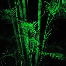 ledcardiff's tweet image. Amazing effect for your garden with our remote controlled colour changing LED Floodlight  @ledcardiff #outdoorleds