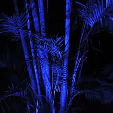 ledcardiff's tweet image. Amazing effect for your garden with our remote controlled colour changing LED Floodlight  @ledcardiff #outdoorleds