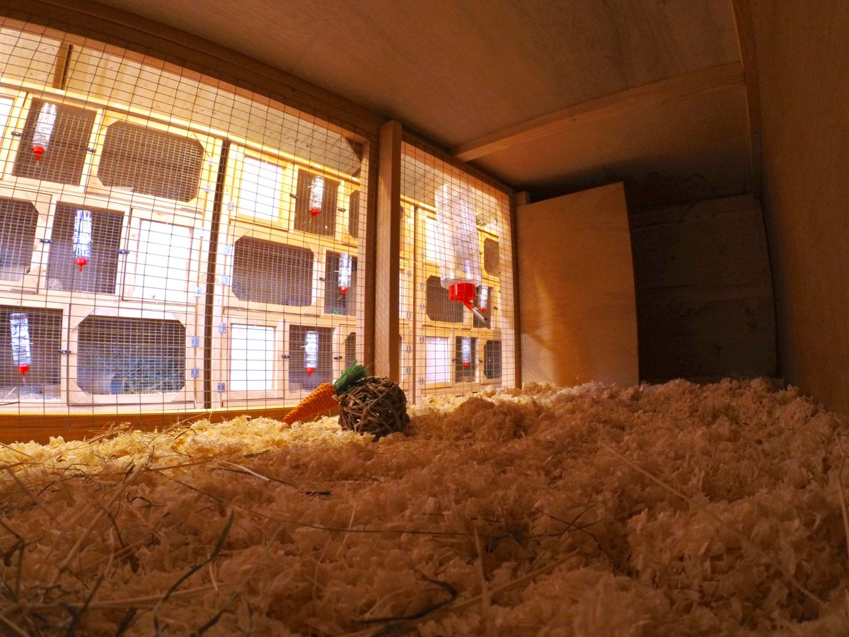 Don't delay, book your small pets stay at the best small pet hotel in #southcroydon #surrey
07851 806318
croydon@nowboardingpethotels.co.uk