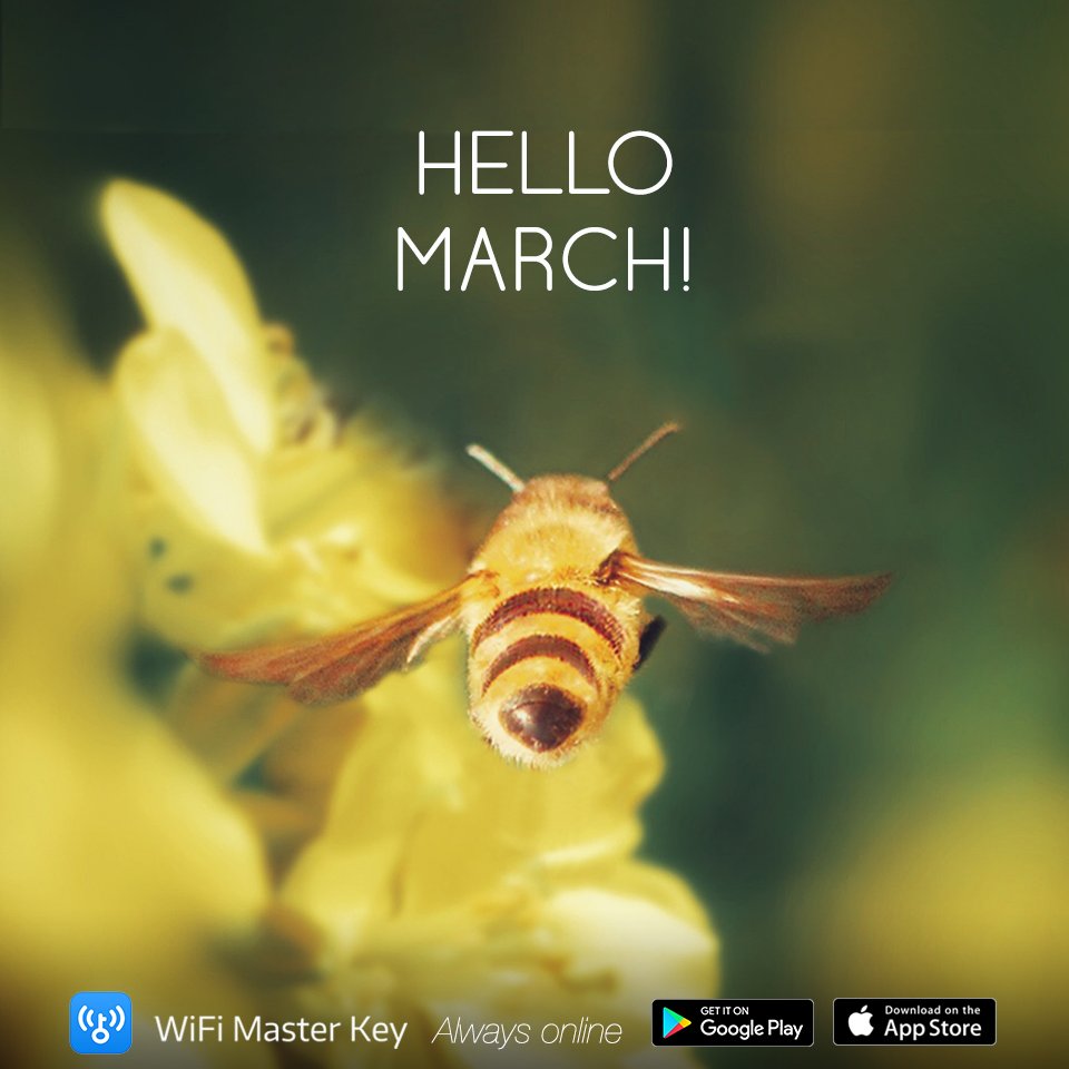 wifi_master_key's tweet photo. #hellomarch! Oh honey, let's march on with WiFi :D
https://t.co/G3HbtCa3pd
#climatechange #freewifi #wifimasterkey #halomaret https://t.co/9xg7dGZJUh