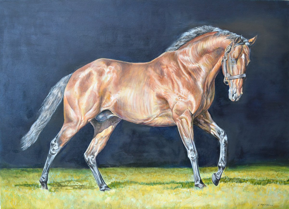 janethammillart's tweet photo. #SIZZLING at #NEWGATEFARM Oils on Canvas. SOLD.COMMISSIONS WELCOME. https://t.co/DNuoZmdE3j