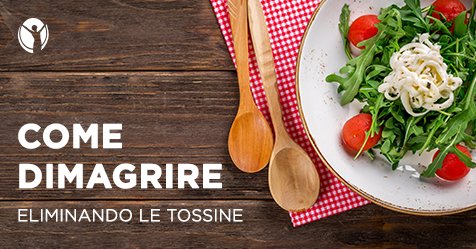 EsteticaSmart's tweet photo. #Sport e #Dieta non bastano per #Dimagrire? Prova ad eliminare le #Tossine!

https://t.co/APpkqgr31V https://t.co/nyO5zUv3lu