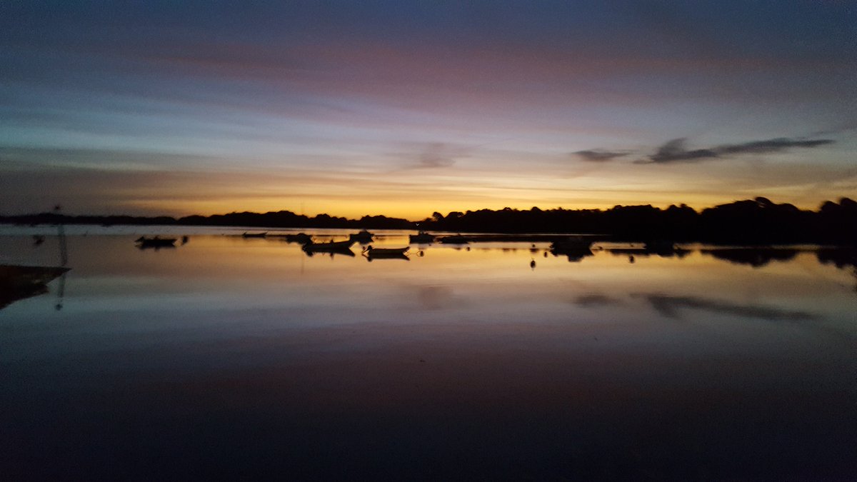 PerrodoPierr's tweet photo. Stages de pêche dans le Golfe du Morbihan, au départ du Logeo. #guidedepeche @Golfe_morbihan @MorbihanTourism https://t.co/90QNjc9SgY https://t.co/lfxtjgT2rl
