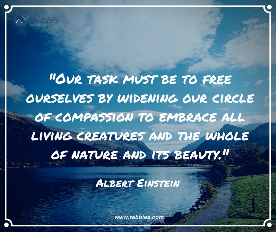 Welcome to March!
Here's a little #WednesdayWisdom from #Einstein himself.