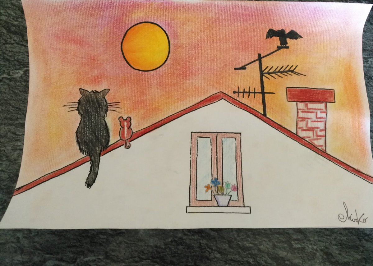 quartapego's tweet photo. #TwTopoGatto/10 Anche se @GattoMixTw e il @TopoMexTw hanno dei difetti insieme sono perfetti.Mirko https://t.co/PTdrfyHcRi