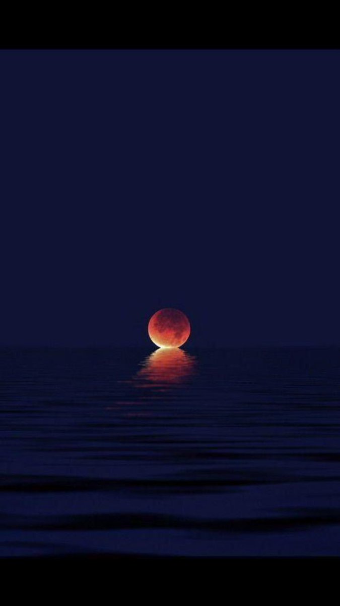 GalacticFacts's tweet photo. When the moon touches the sea https://t.co/eZTW09SYGA
