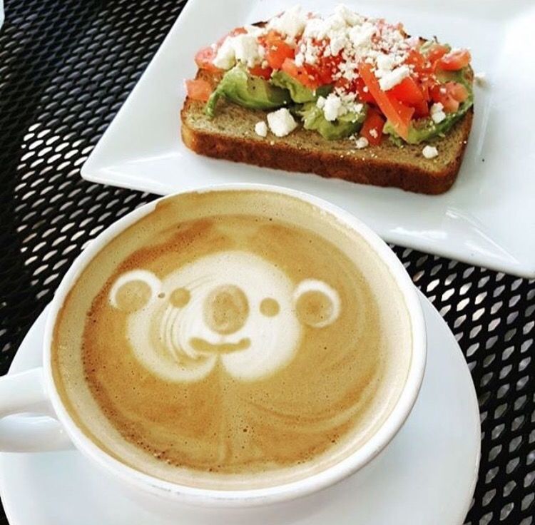 Beachestowncent's tweet photo. A bear-y good breakfast starts at @southerngrndsco! 🐨🥑 https://t.co/NFISuvO9Zt