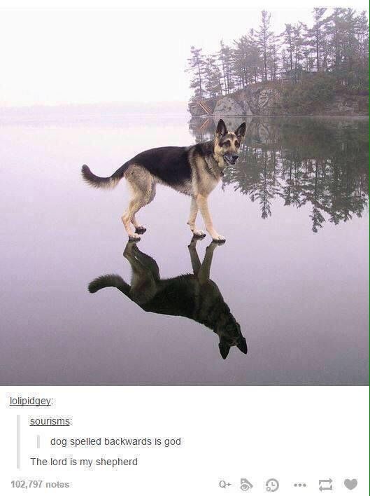 Greatest comment ever lmao