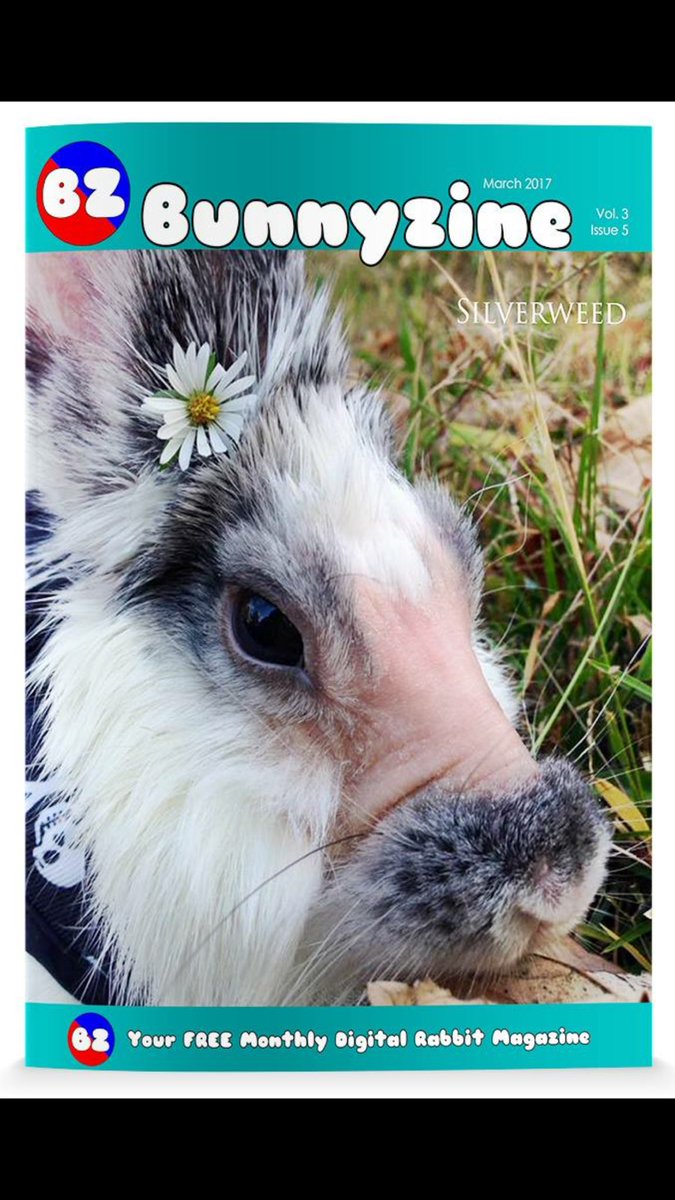 House Rabbit Society (Houserabbit) Twitter