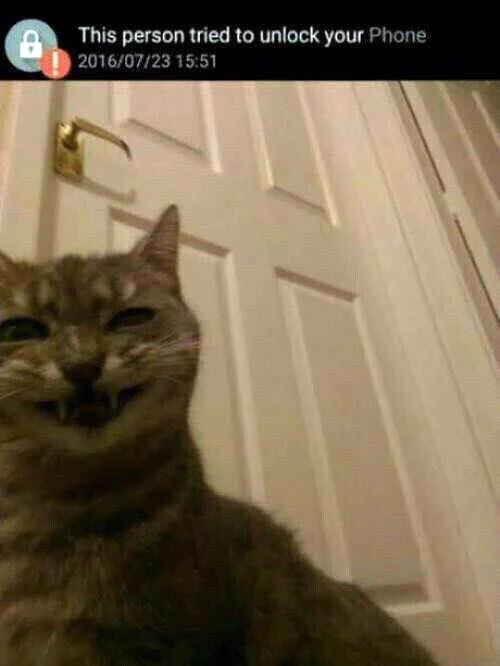 「この人物があならの電話のロックを解除しようとしました」にうつる顔ｗｗｗ