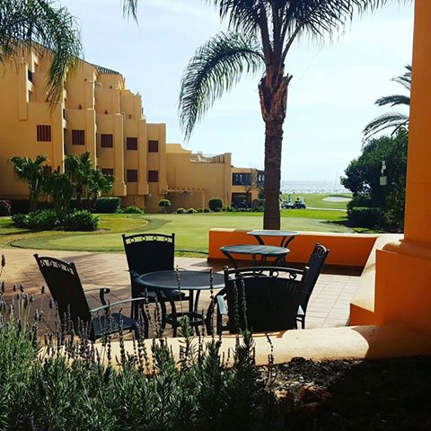 HotelGuadalmina's tweet image. Pregunta por nuestras habitaciones con #vistasalmar, al campo de #golf y en pleno #jardín.
 #golfcourses #seaview #gardens #marbella
