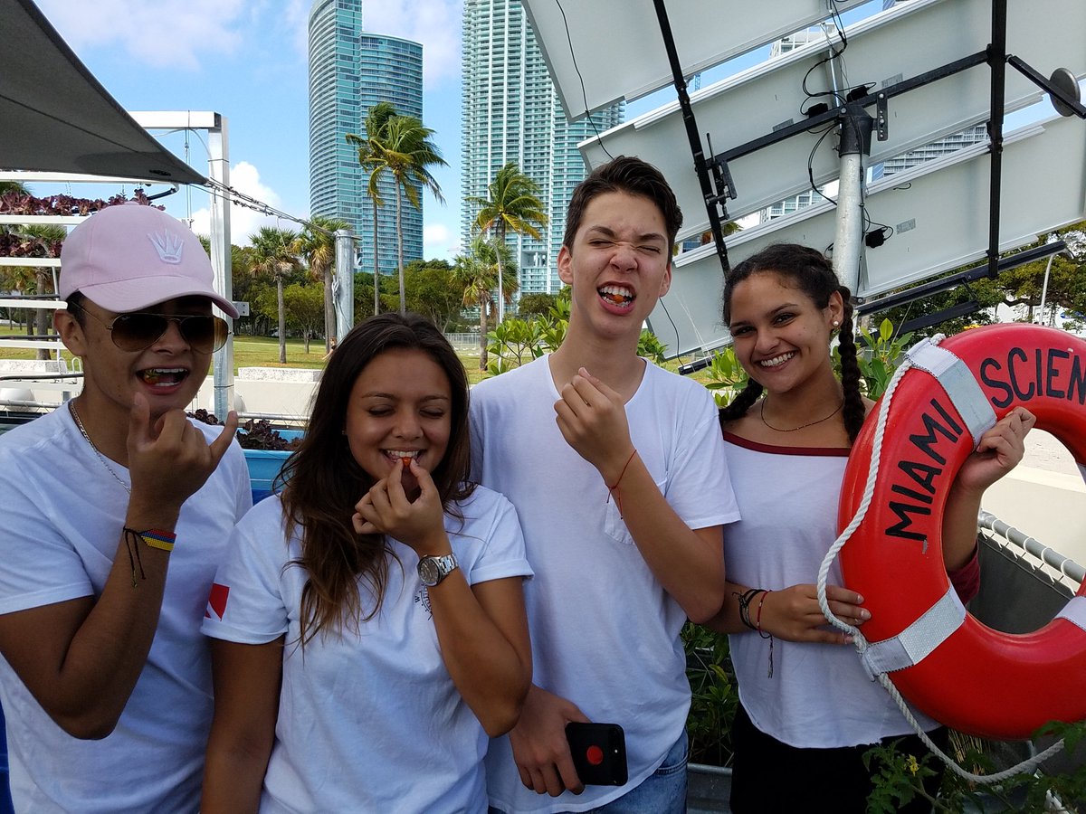 mbshSCUBA's tweet photo. Eating from the tower garden. #urbaneco #Sustainability #authenticeducation @MBSHPTSA @1pamtaylor @mbseniorhigh @MiaSciBarge https://t.co/3uJOXsTCli